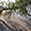 Lake Winnipeg Fallen Tree Patricia Beach